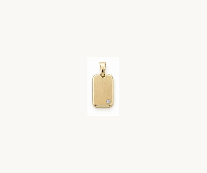 Single-Light Dog Tag